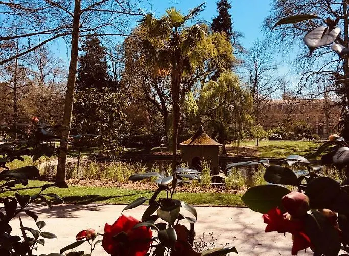 Centre Historique Saint Etienne, Carmes 公寓 *