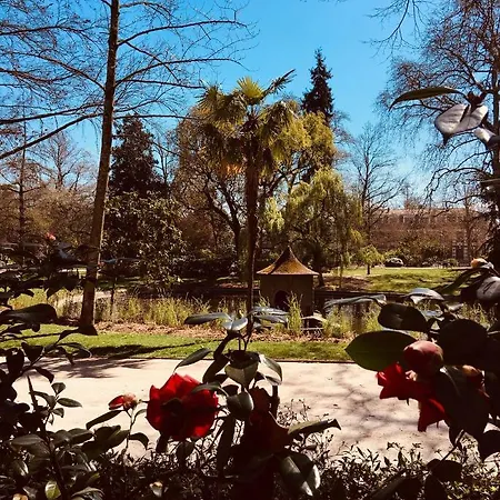 Centre Historique Saint Etienne, Carmes 아파트 *